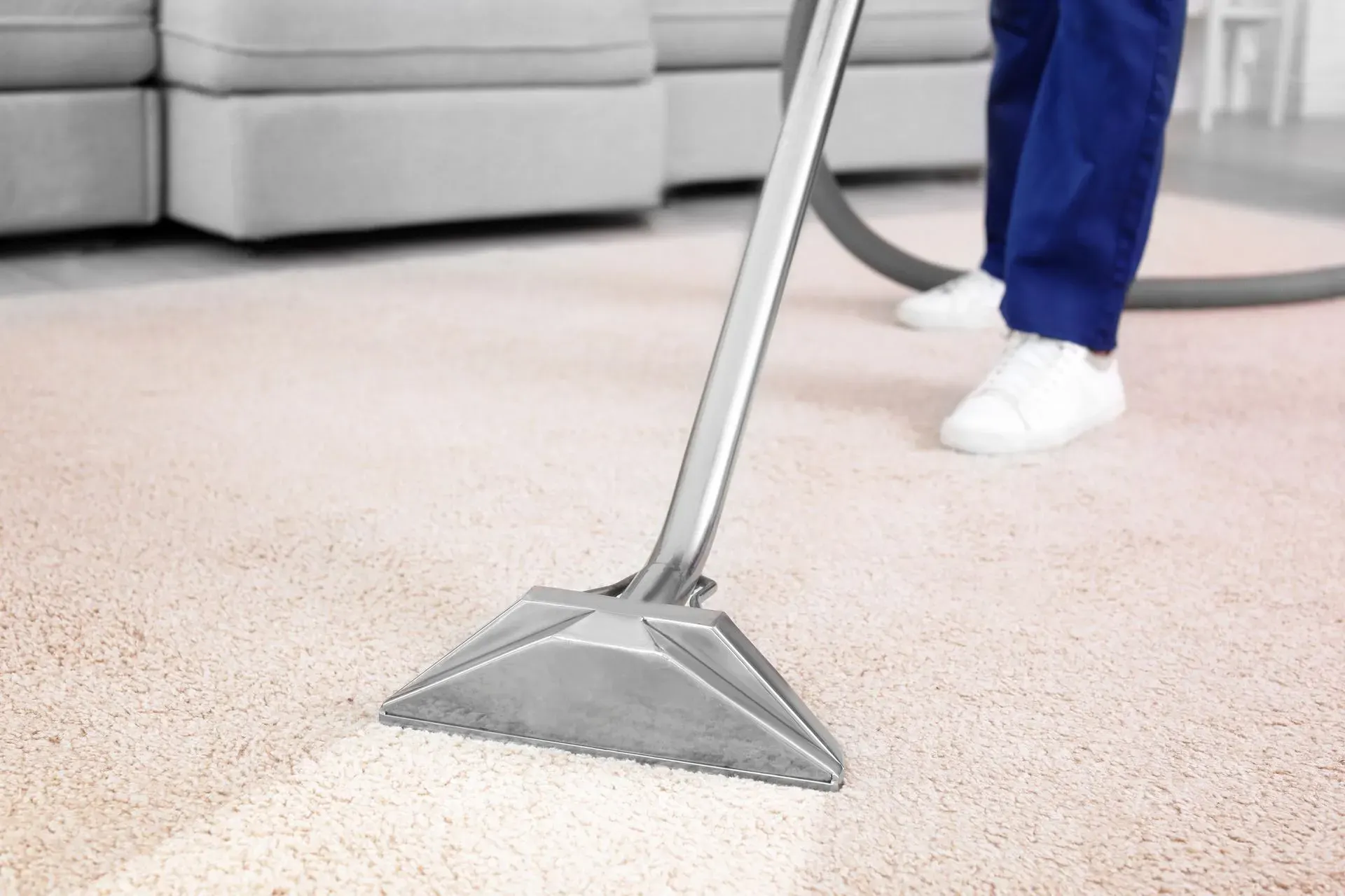 Business profile photo for Teddy's Cleaning And Restoration LLC