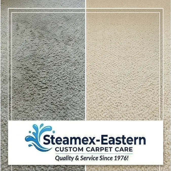 Business profile photo for Steamex-Eastern