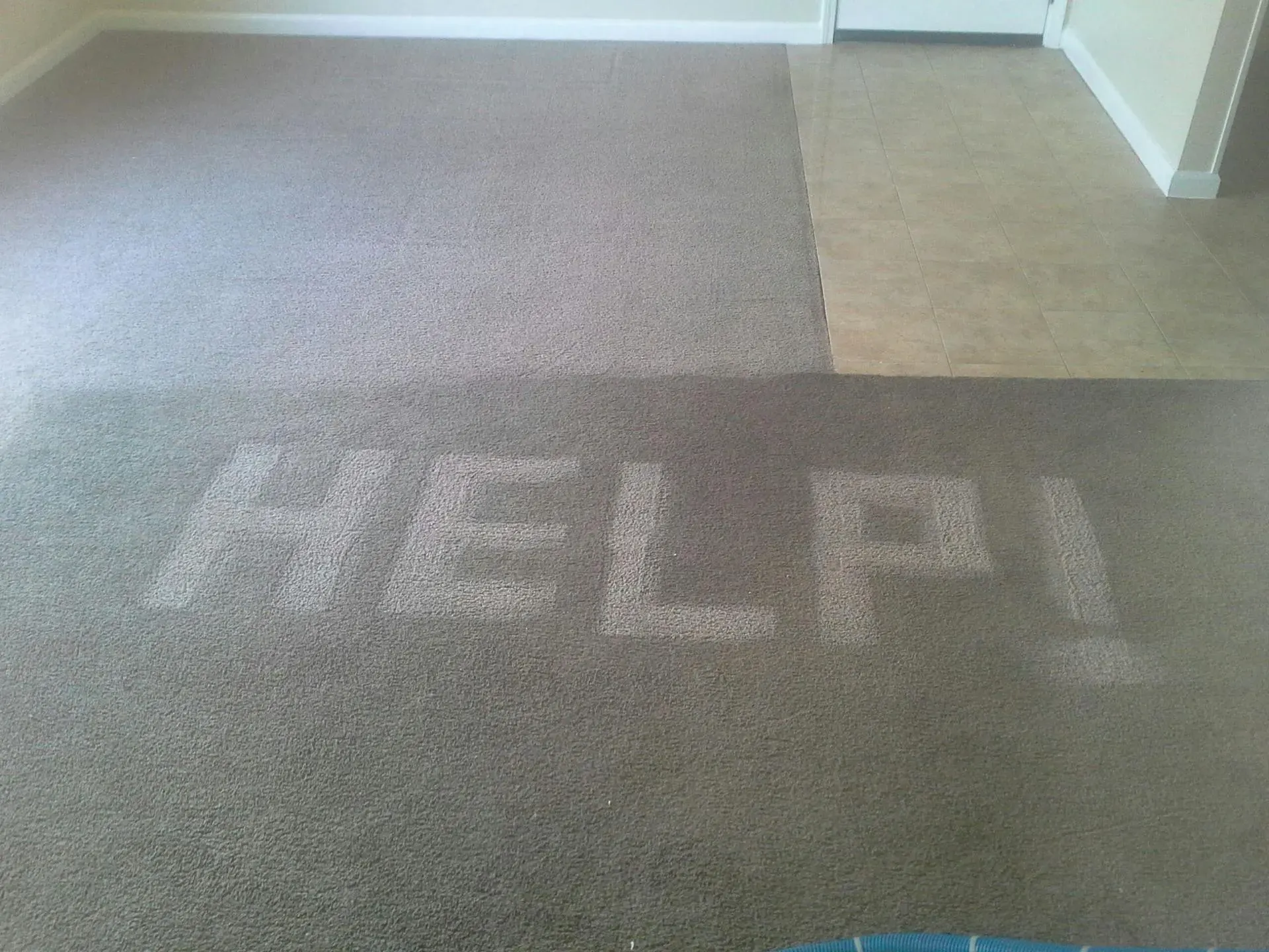 Business profile photo for J-Mar Flooring & Carpet Cleaning
